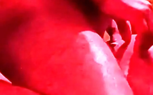 LIZETH CUM SLUT HARD FUCK - Sucking Hot Cum In Her Mouth #1