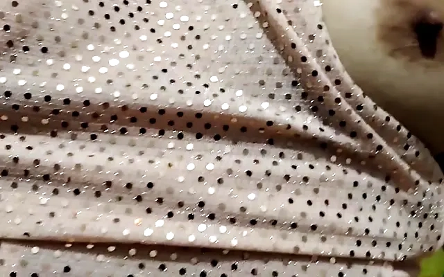Mi ma&ntilde;ana comenz&oacute; dando una buena mamada