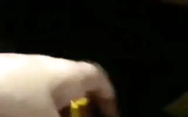 The only thing Claire P wants... &iexcl;Is a BIG DICK that fucks her hard!