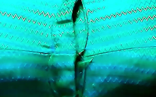 Indian Bhabhi xXx Videos